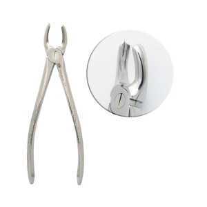 فورسپس مولر بالا راست