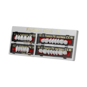 دندان پرزیدنت بلیچ